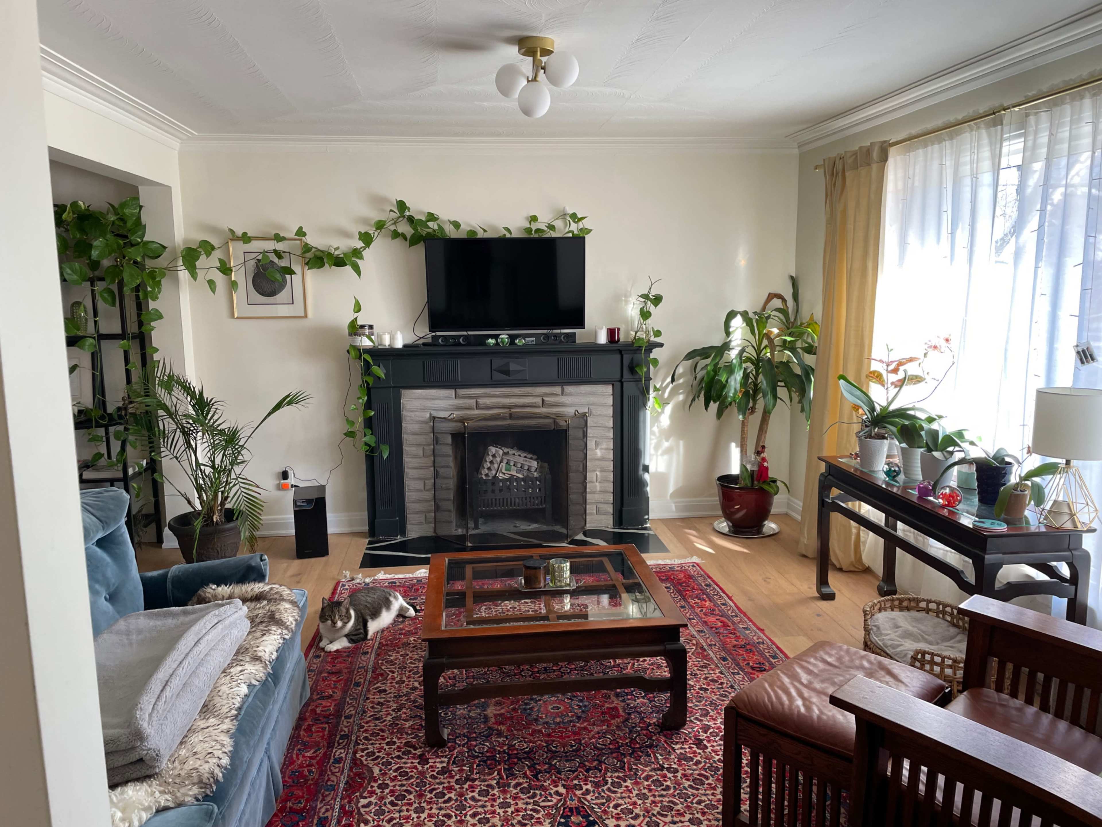 The room features a fireplace with a television above it, surrounded by various plants and a coffee table at the center, with seating areas on either side.