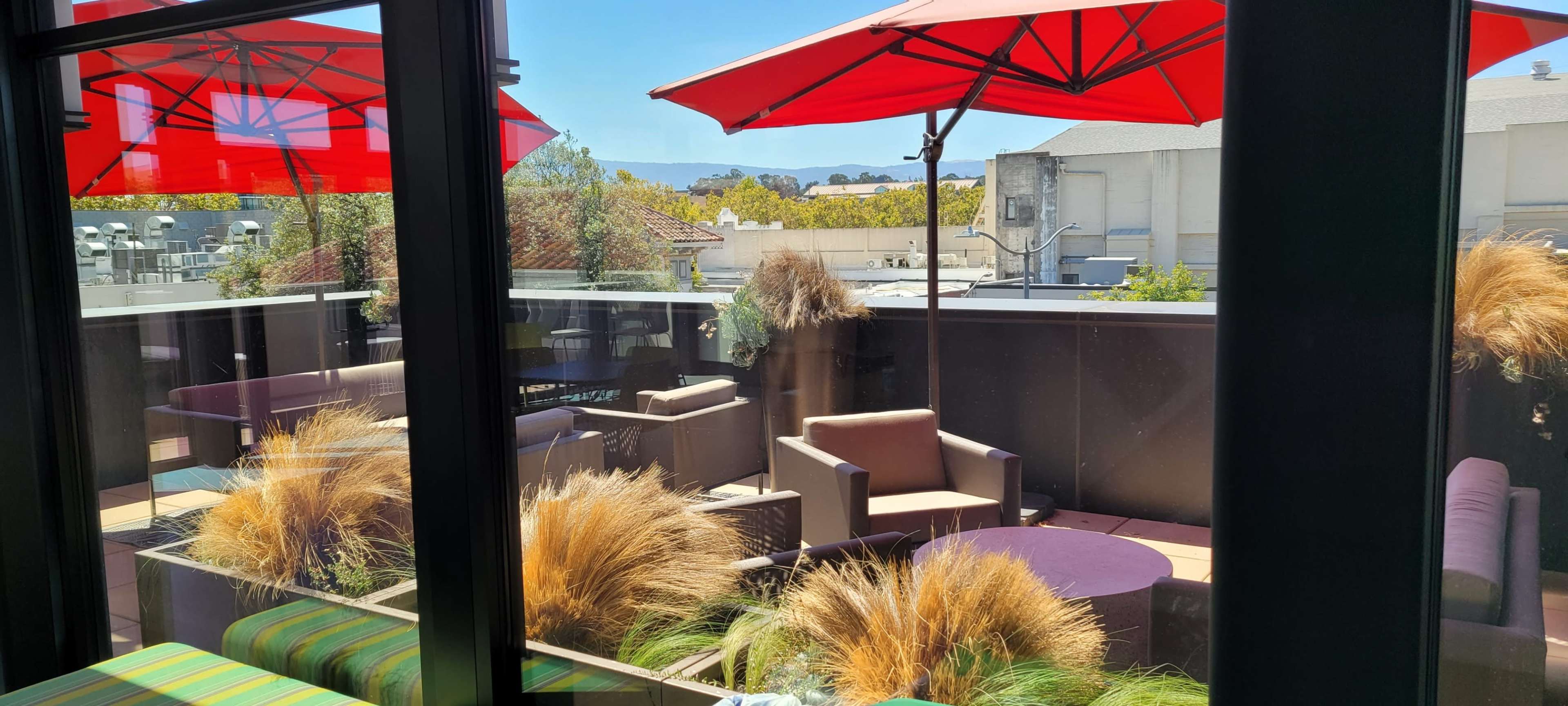 The image shows a rooftop terrace with red umbrellas, modern seating, and decorative grasses against a clear blue sky.