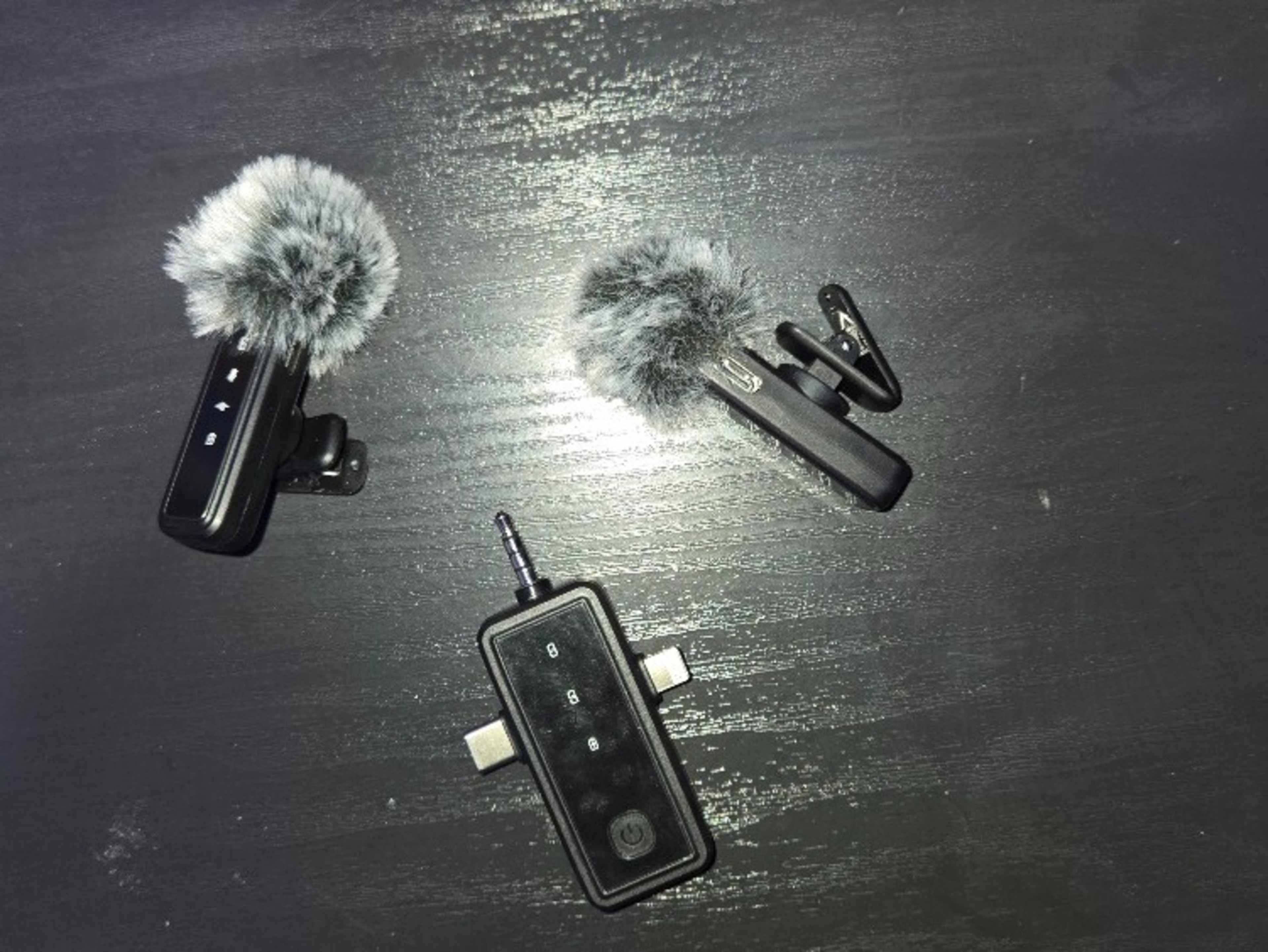 2pcs Dual Receivers Mini Microphone