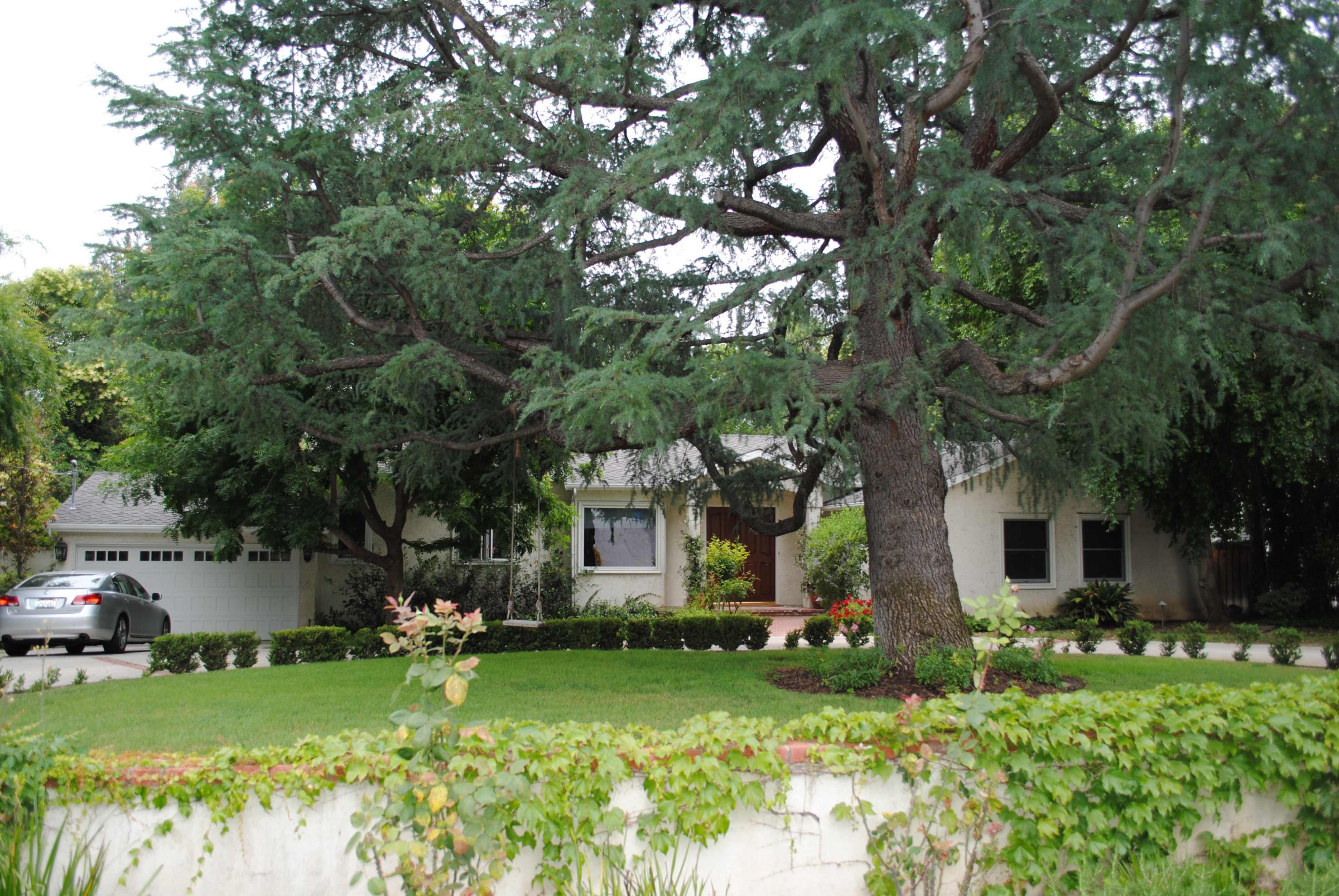 A large tree partially shades a house set back from the street, with a well-manicured lawn and a driveway leading to a garage.