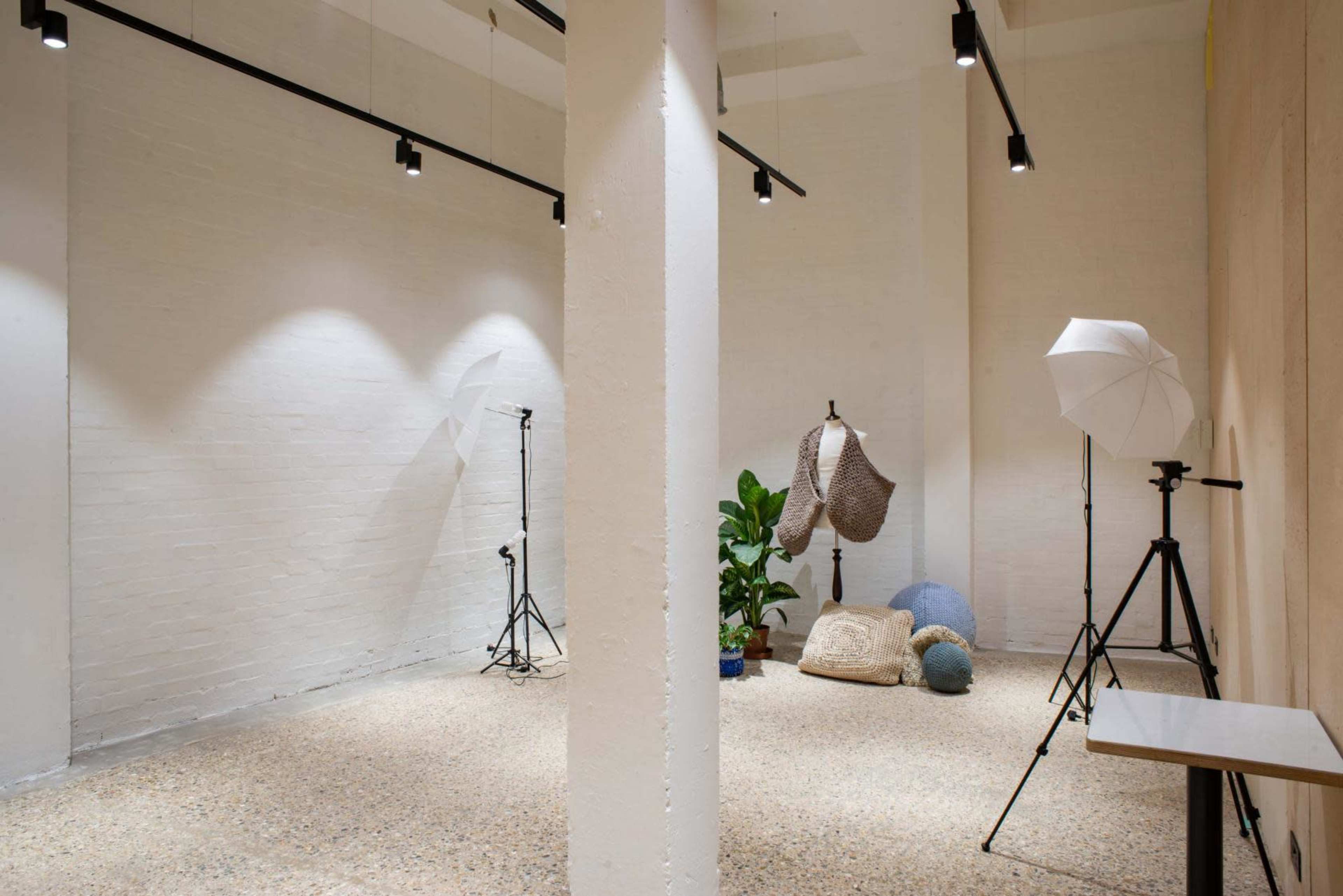 A spacious, well-lit studio featuring a blank white wall, a potted plant, and several photography lights on stands.