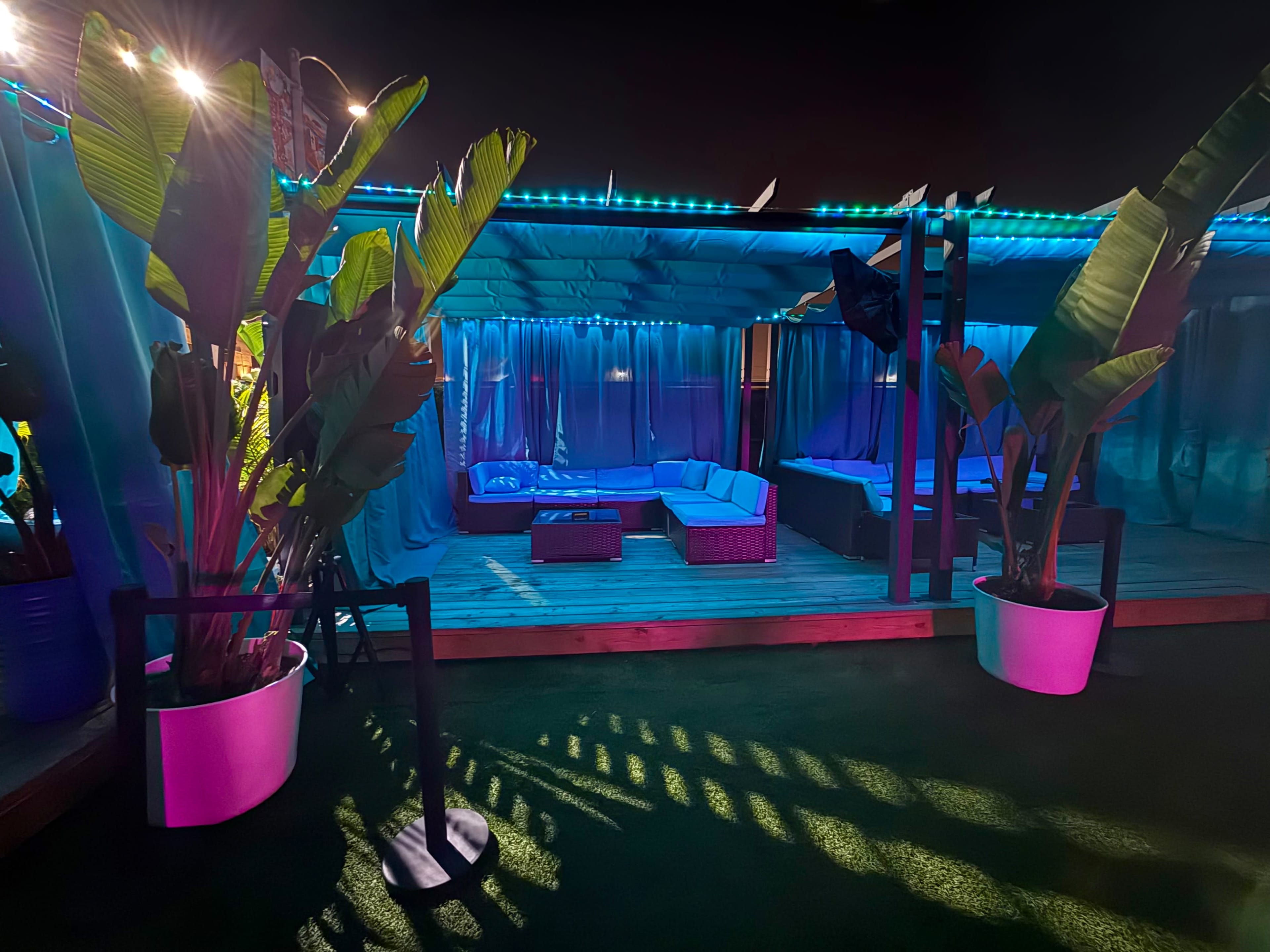 Tropical Haven for every occasion Image in Mountain View, San diego, CA