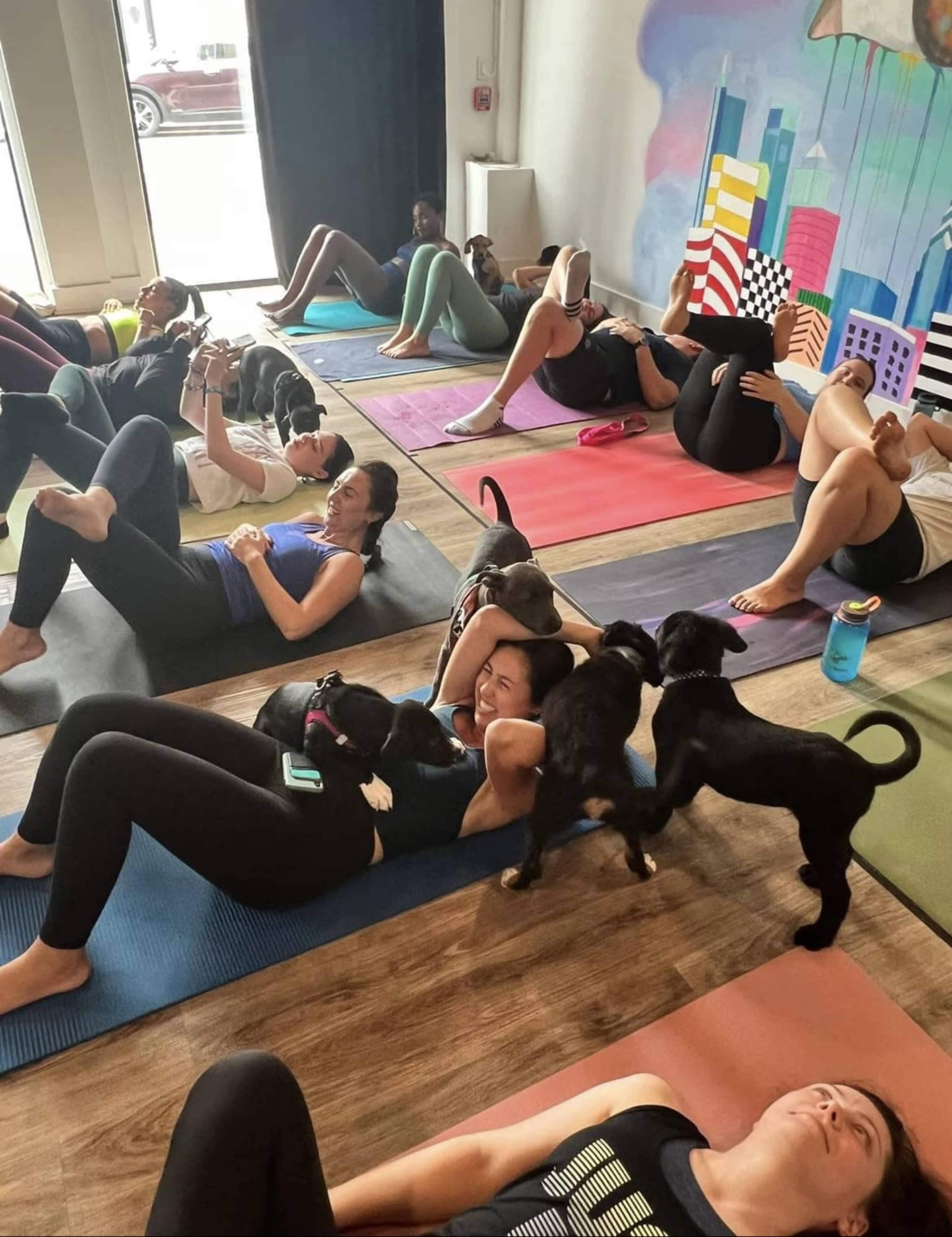 Fairmount Area Yoga & Fitness Studio (Well-lit, Clean, Open Space) Image in North Philadelphia, Philadelphia, PA