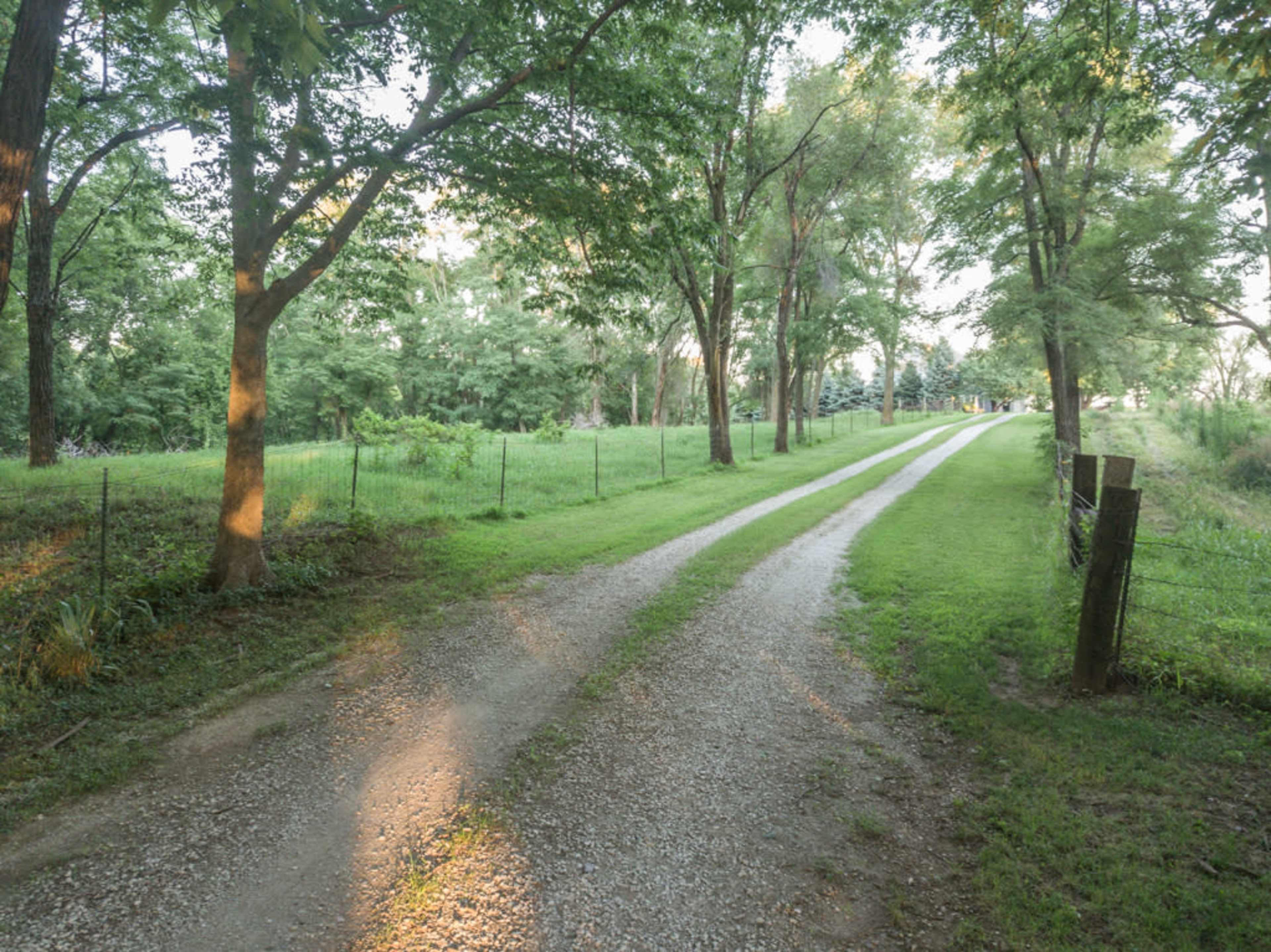 A gravel road winds through a green landscape flanked by trees and a fence.