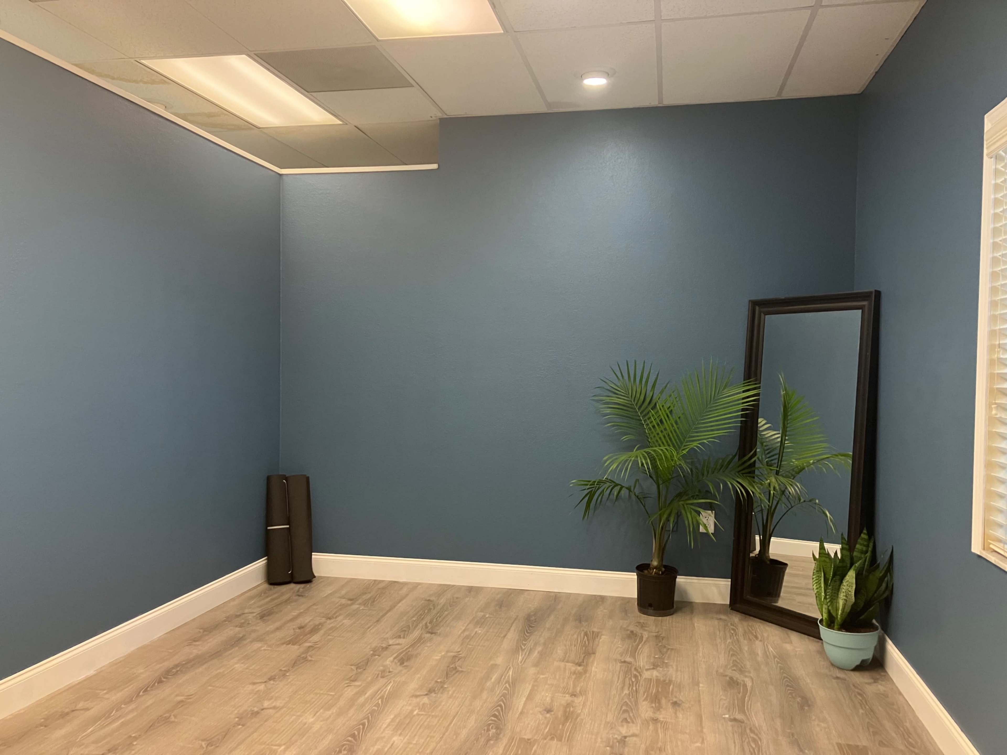 A room with blue walls, a wooden floor, a large mirror, and two plants in pots.
