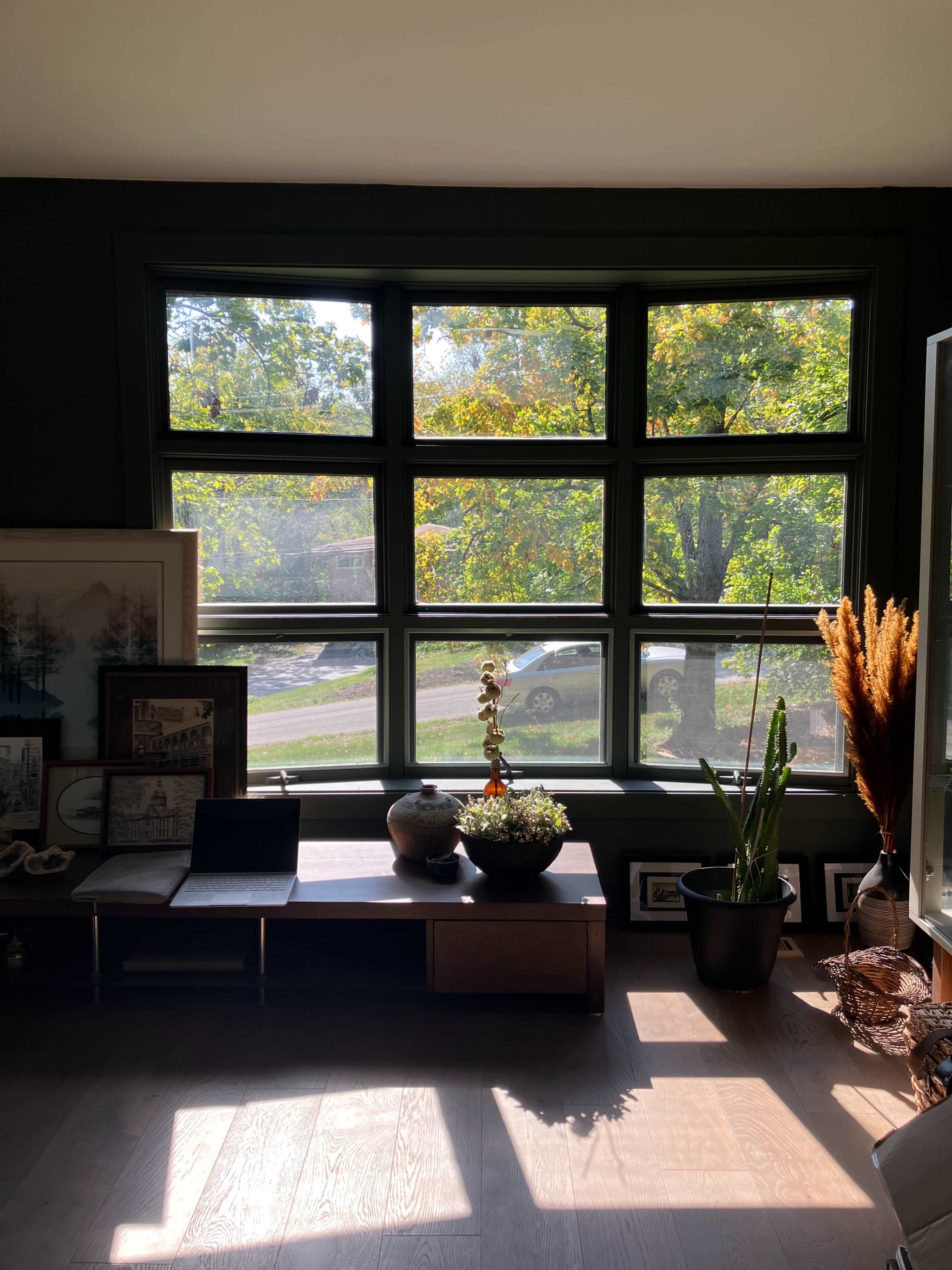 Serene and Private Image in Palos Township, Palos Park, IL