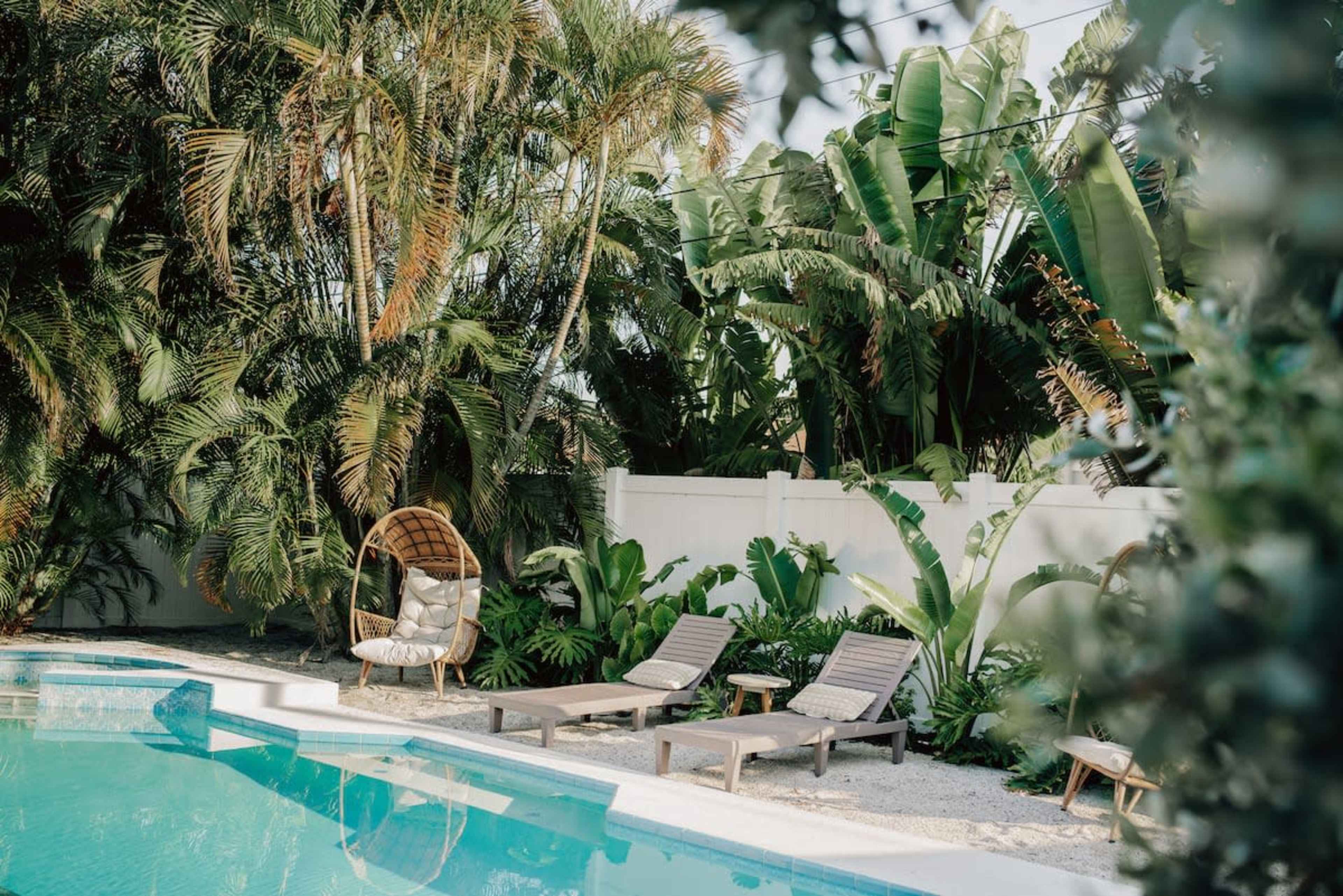 Modern Luxury Home with nice Design - Kitchen, Pool, Backyard Image in Jungle Terrace, St Petersburg, FL