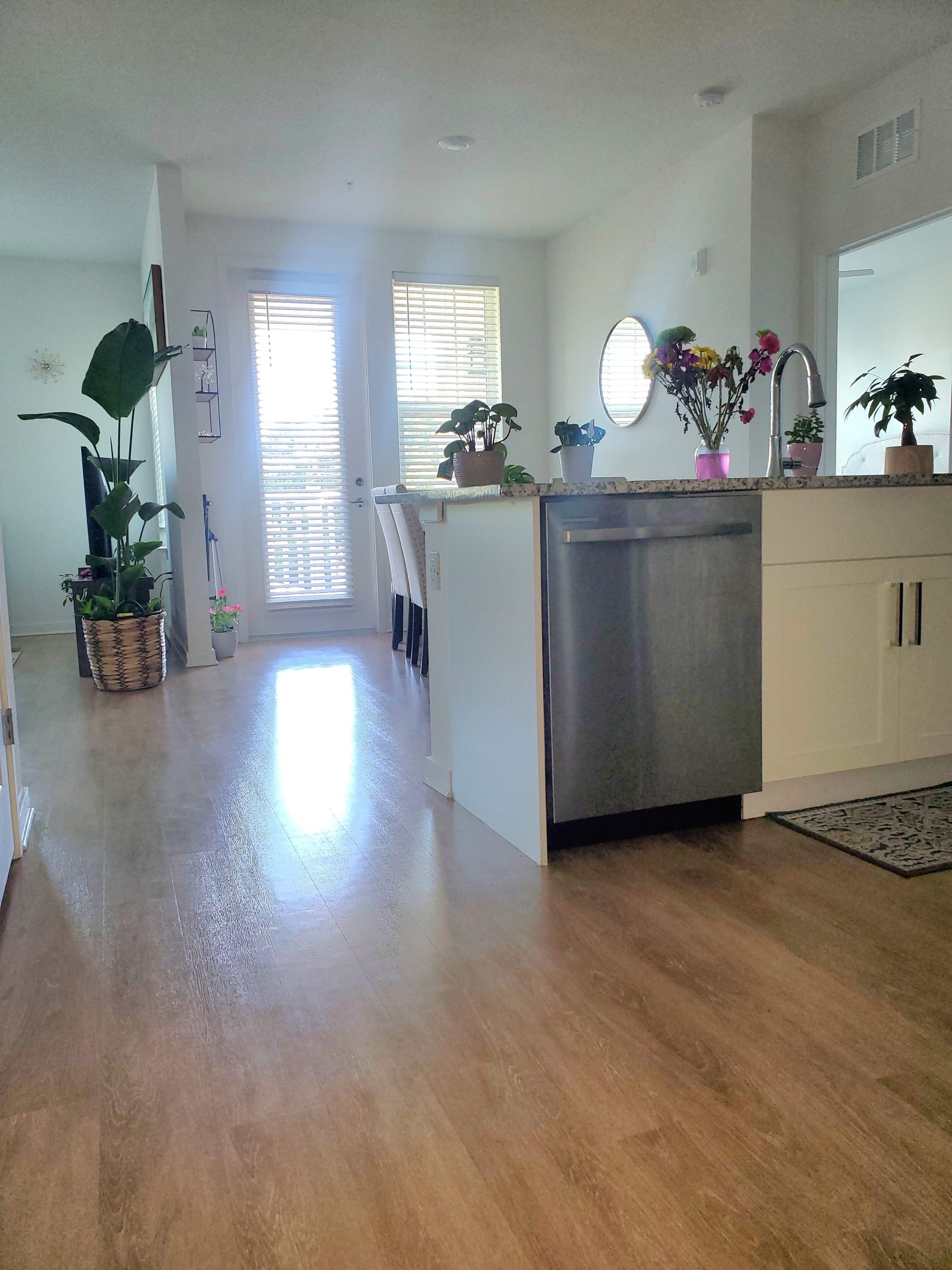 A kitchen area with a stainless steel dishwasher, a counter with plants, and a door leading to an outdoor space.