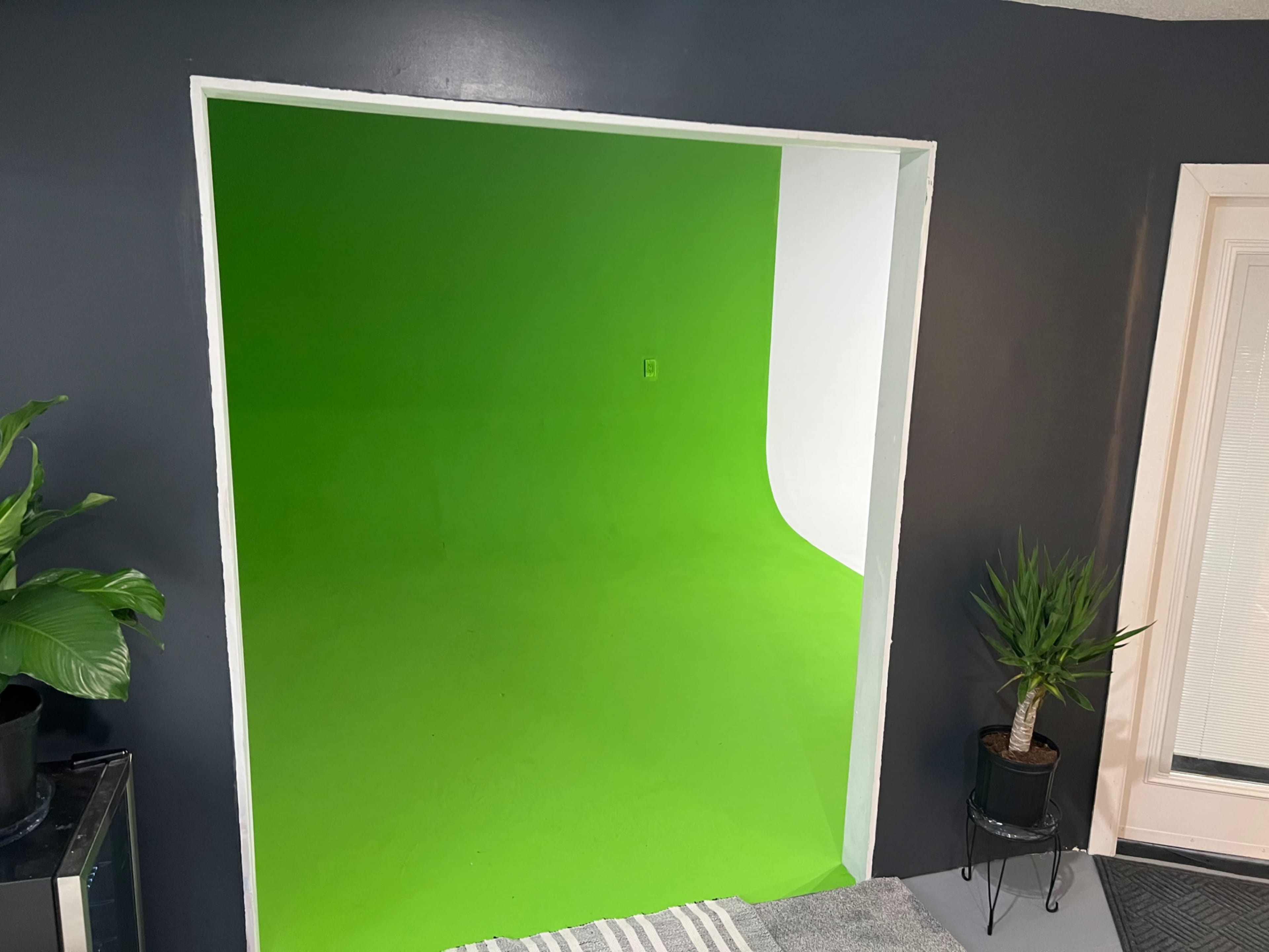 A room with a green and white curved backdrop, commonly used for photography or video production, along with potted plants in the corners.