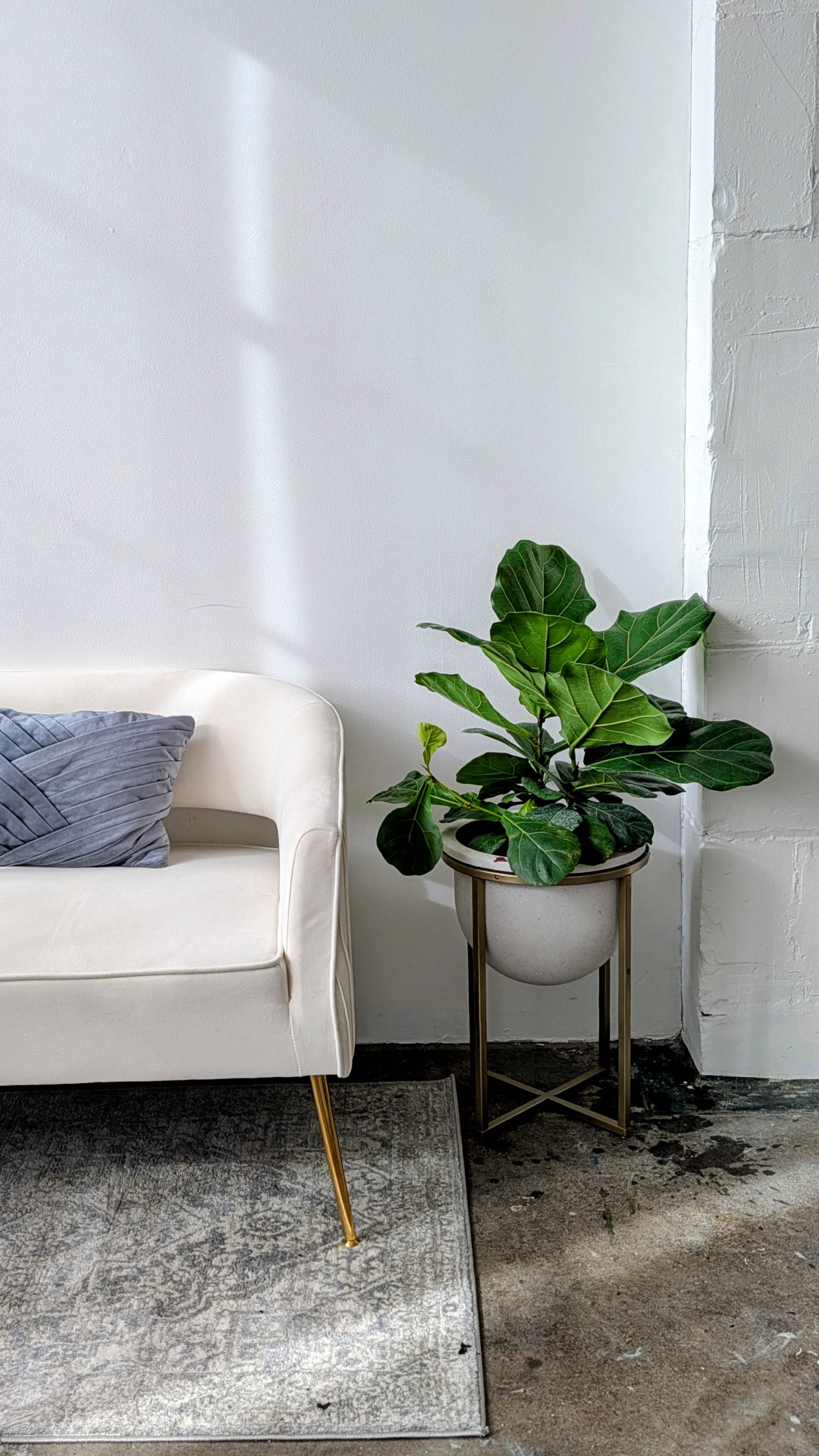 Urban Industrial Photo Studio with Beautiful Natural Light Image in Hoboken, Hoboken, NJ