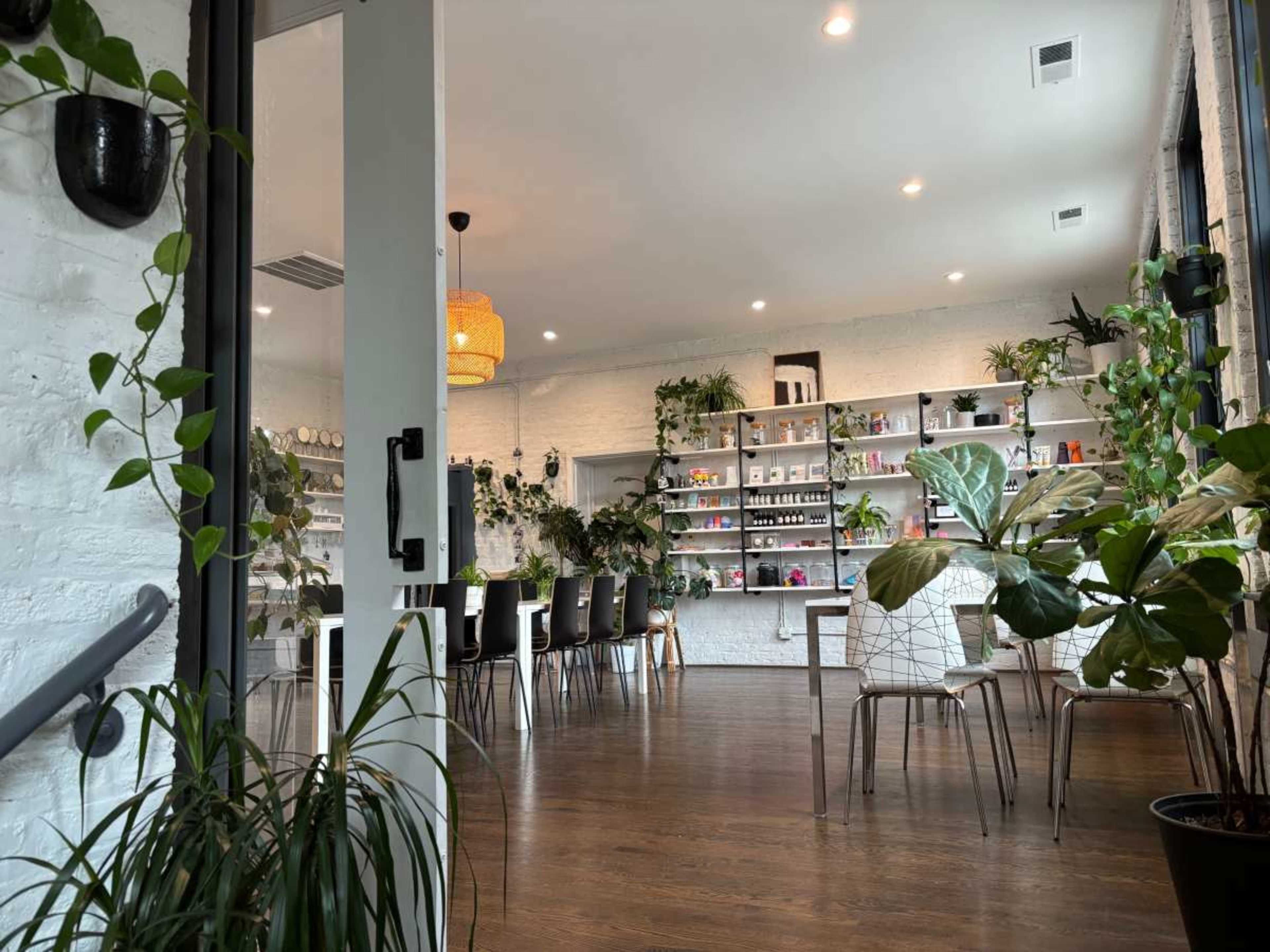 The image shows a bright, modern space featuring shelves filled with products, plants, and a dining area with chairs and a pendant light.