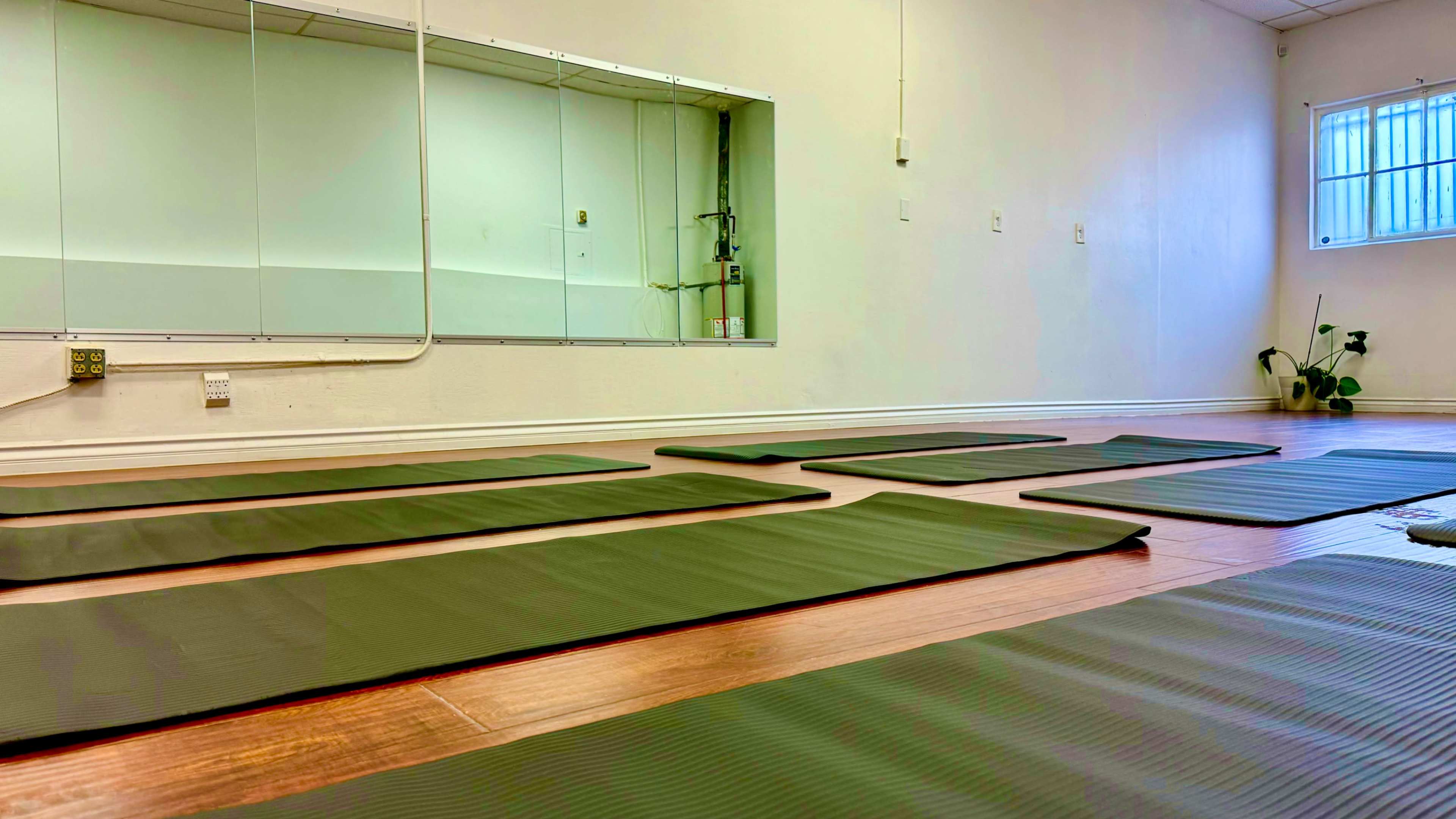 A yoga studio with several green mats arranged on a wooden floor and a mirror on the wall.
