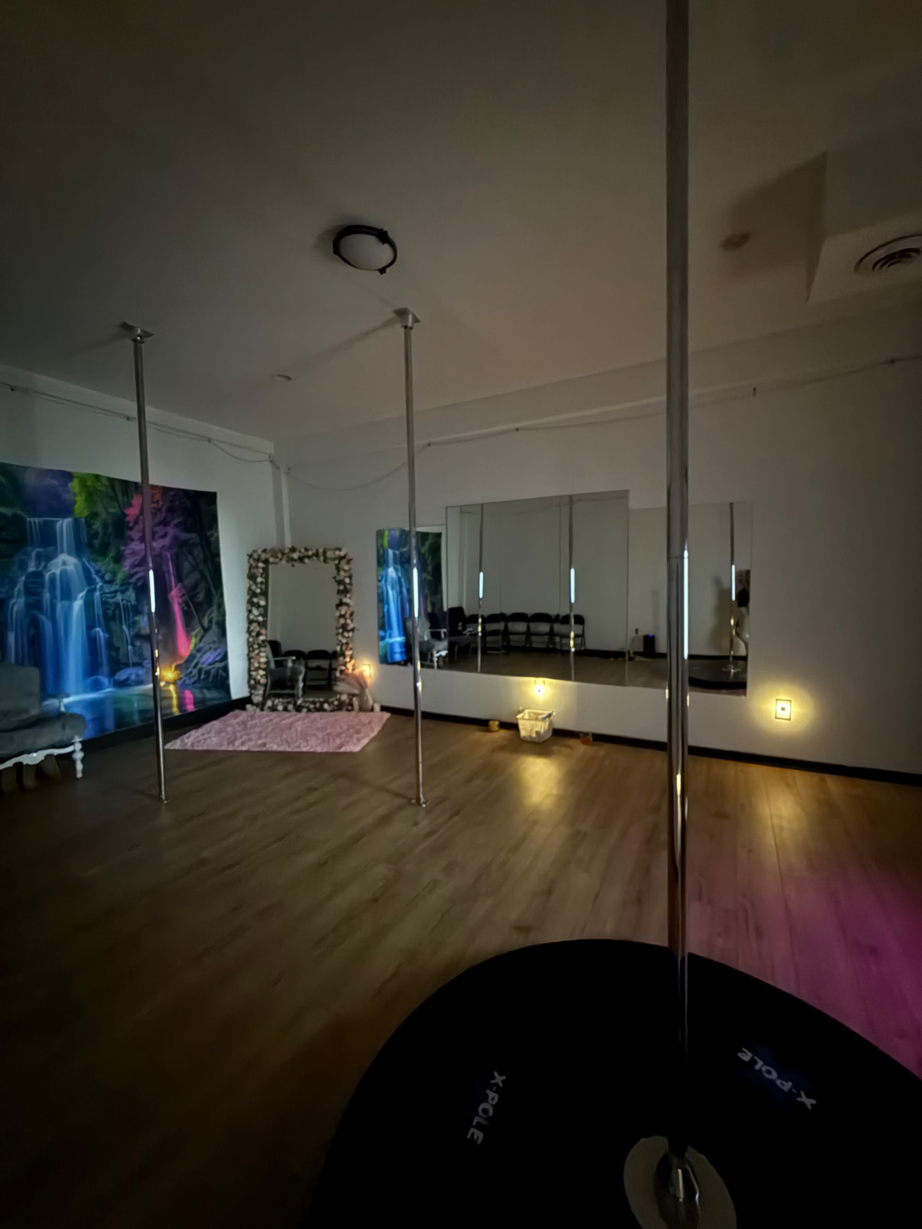 The image shows a dance studio with two mirrored walls, two poles, and a colorful mural of a waterfall.
